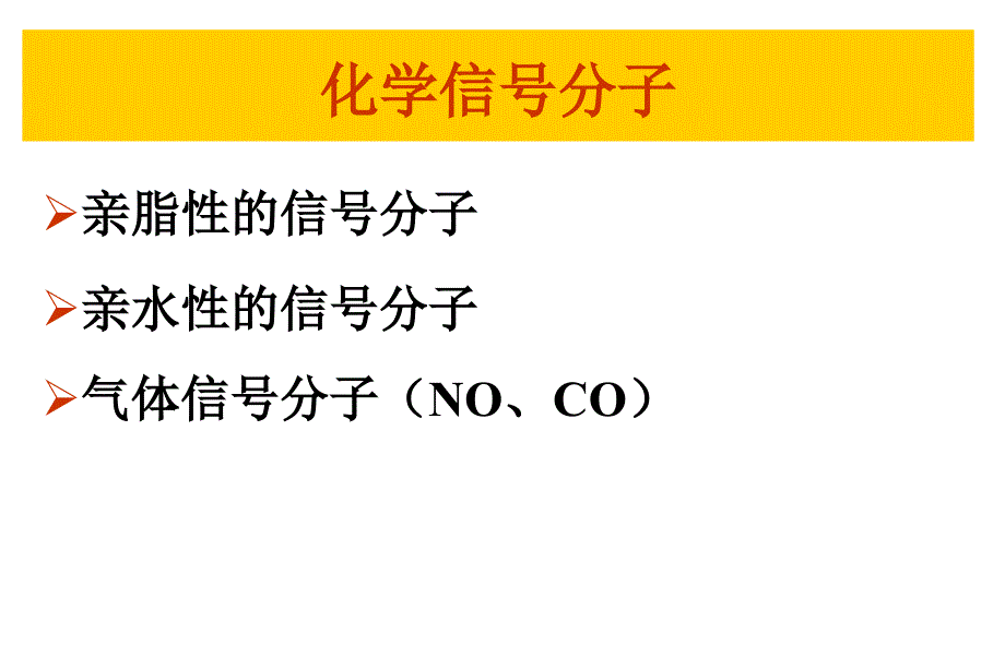 第八章细胞信号转导_第4页