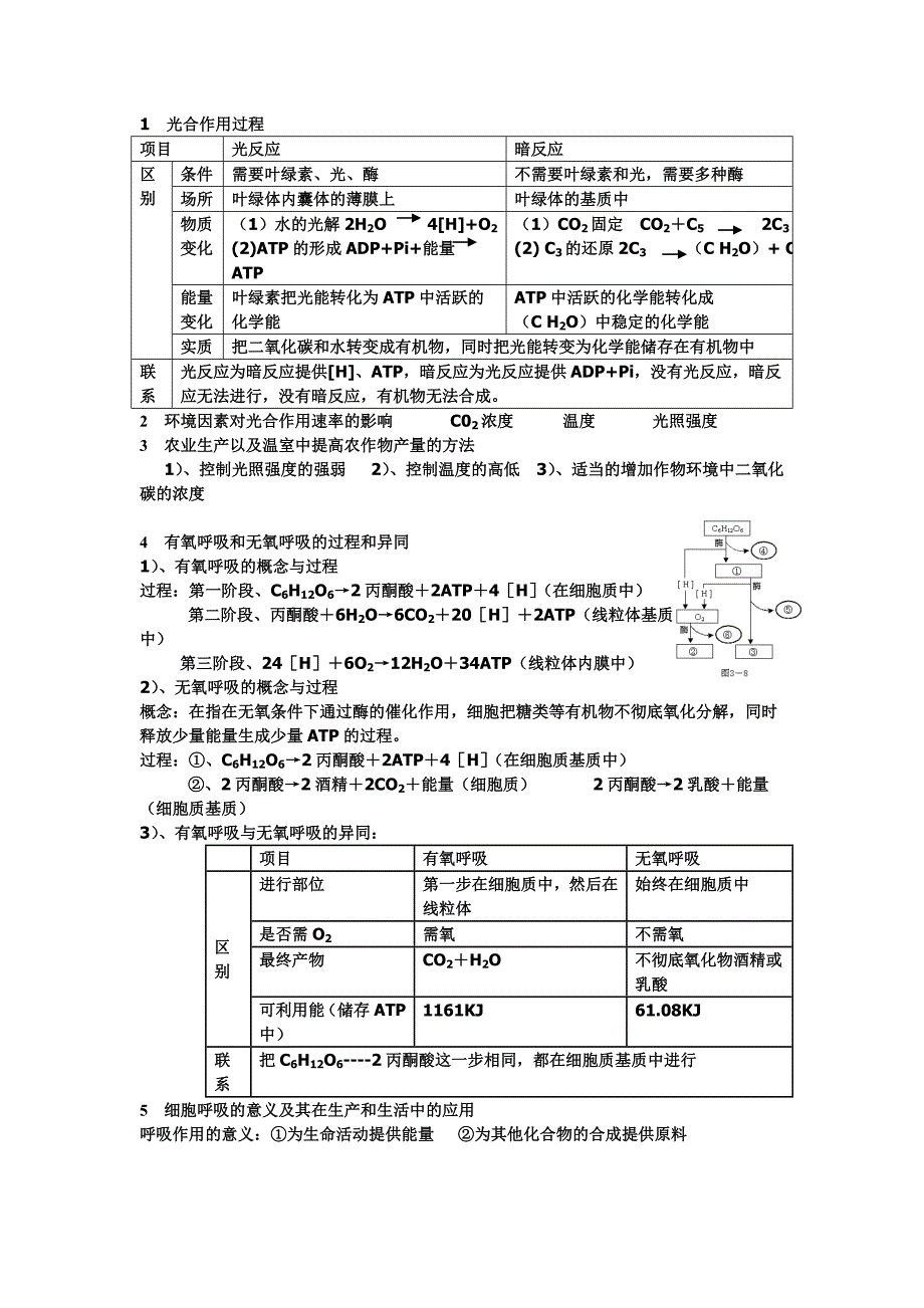 光合作用 呼吸作用 专项突破.doc_第1页