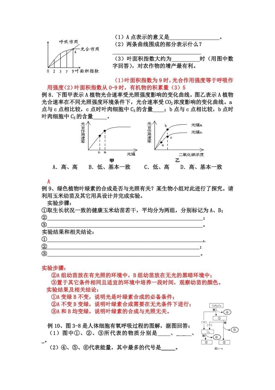 光合作用 呼吸作用 专项突破.doc_第5页