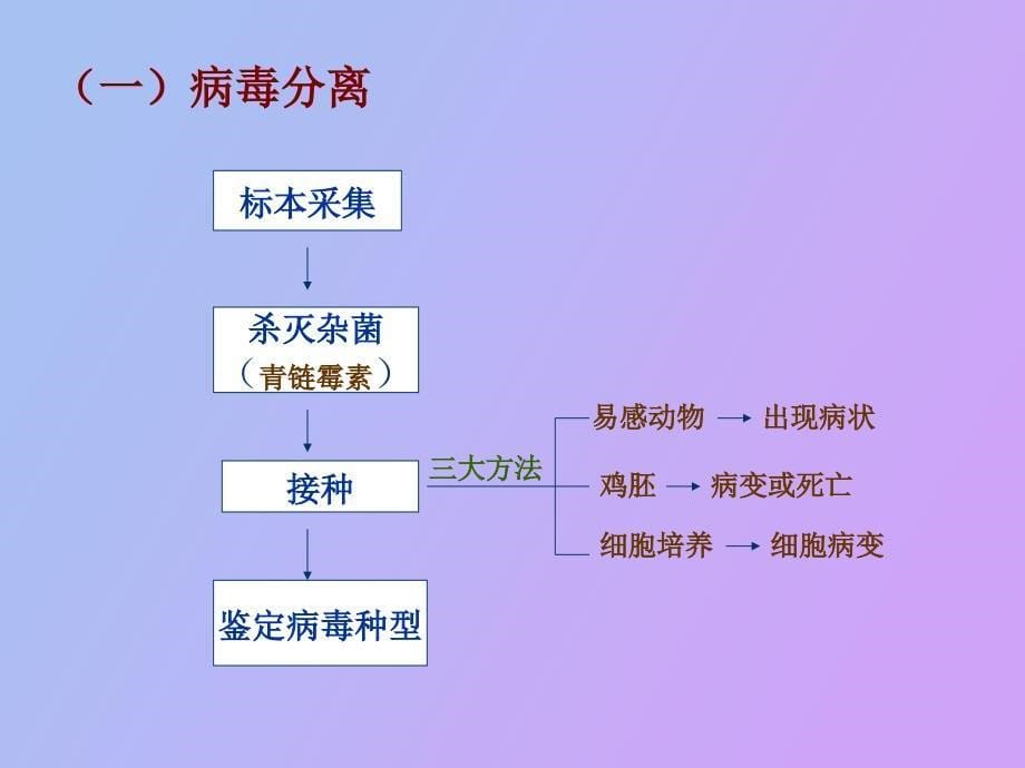 病毒的检测病毒感染微生物的方法ch_第5页