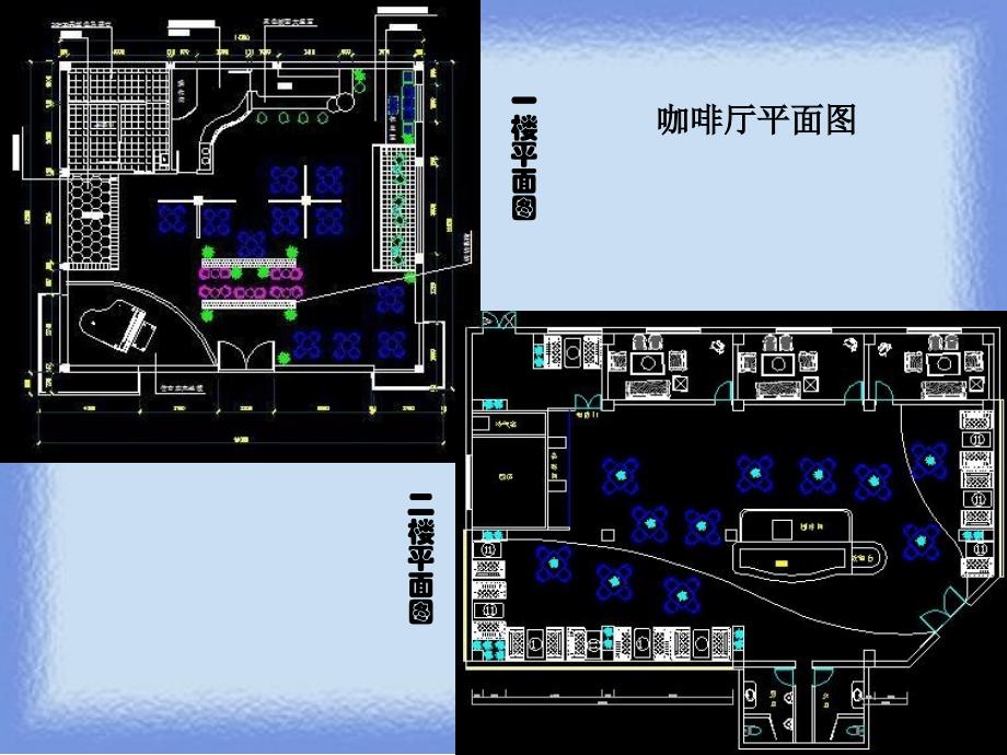 咖啡厅室内植物_第4页