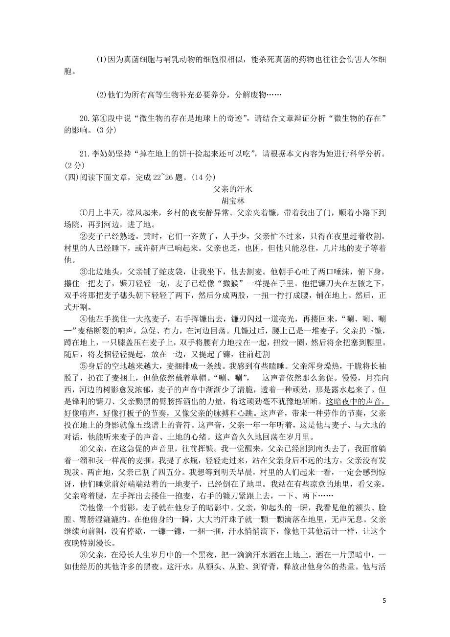 云南省宣威市中考语文备考加强卷10528388_第5页