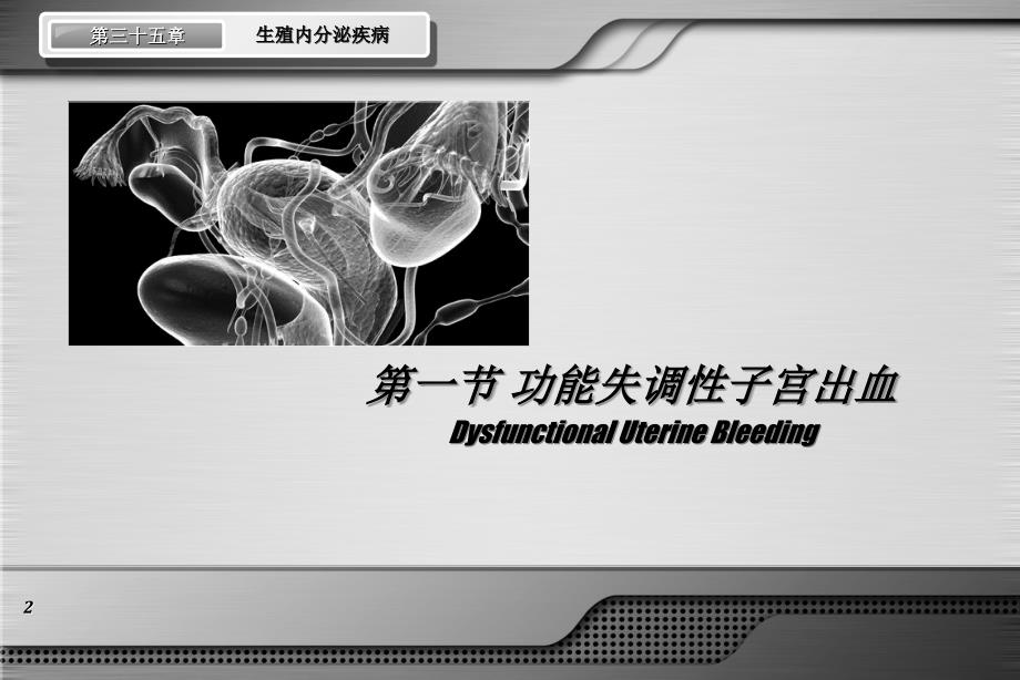 生殖内分泌疾病人卫妇产科学第七版配套_第2页