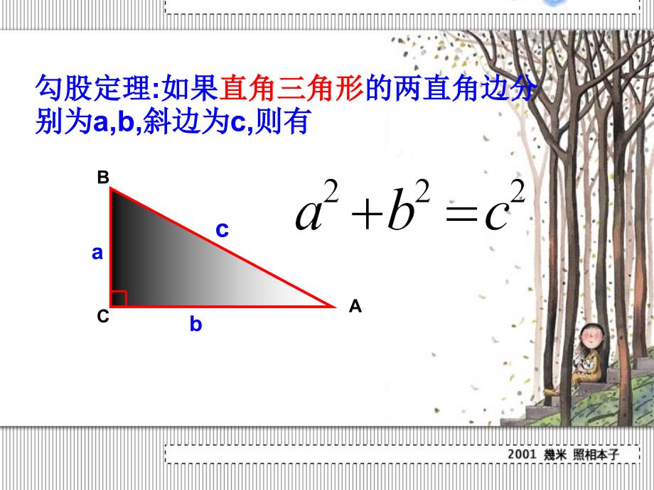 勾股定理复习课件_第2页