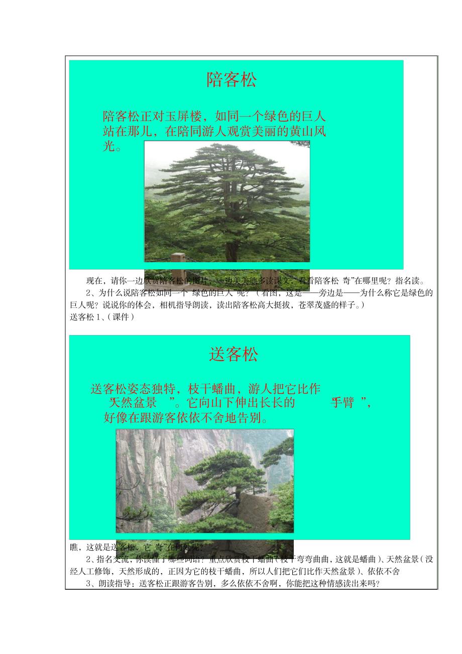 上传教案苏教版五年级上册第十六课《黄山奇松》教学设计_小学教育-小学学案_第4页