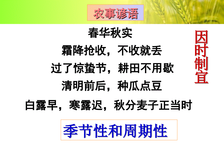 第三章第二节农业区位因素与农业地域类型课件_第4页