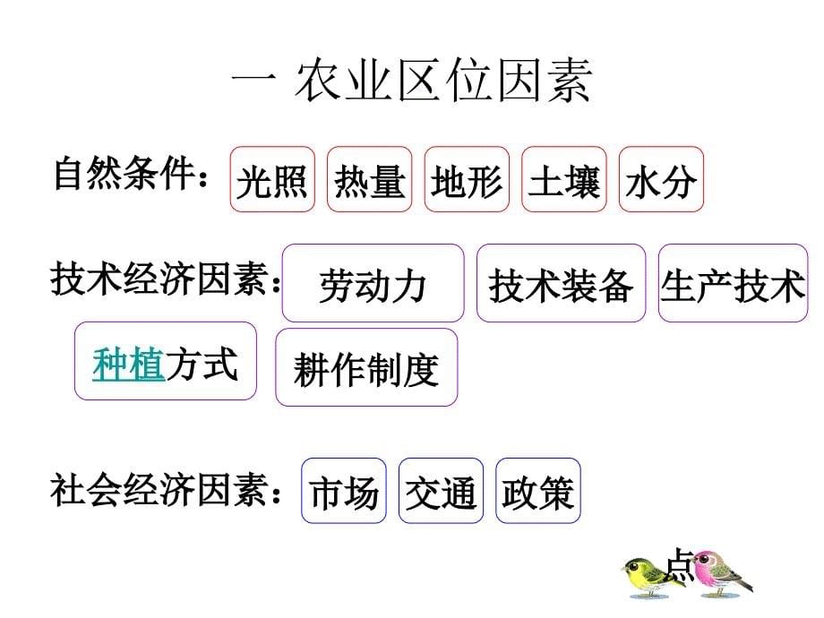 第三章第二节农业区位因素与农业地域类型课件_第5页