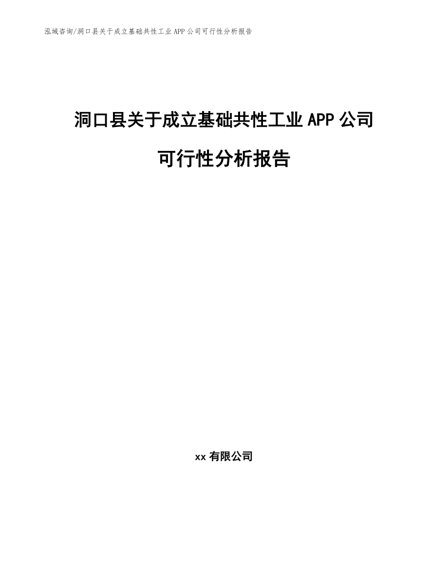 洞口县关于成立基础共性工业APP公司可行性分析报告_模板范文_第1页