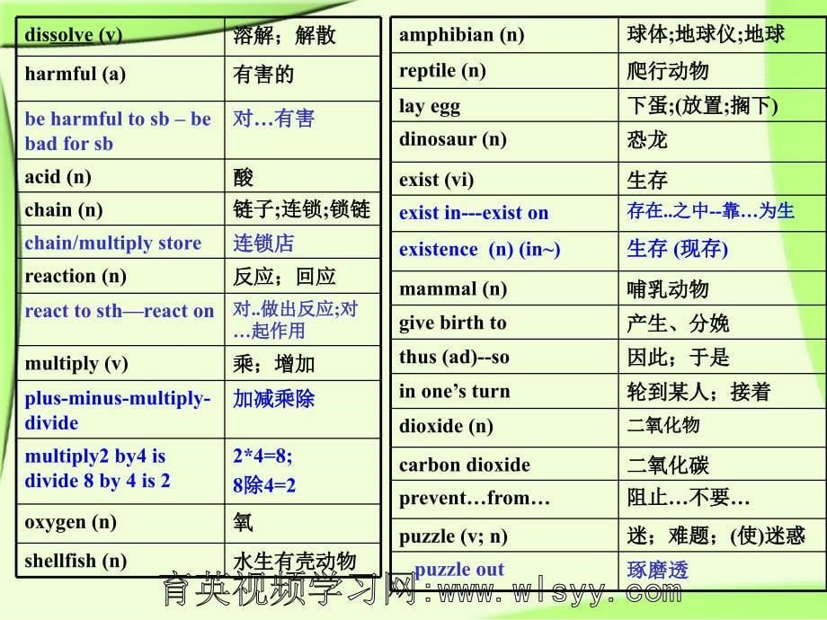 人教版高中英语必修3unit4课件育英科技王衡英语_第5页