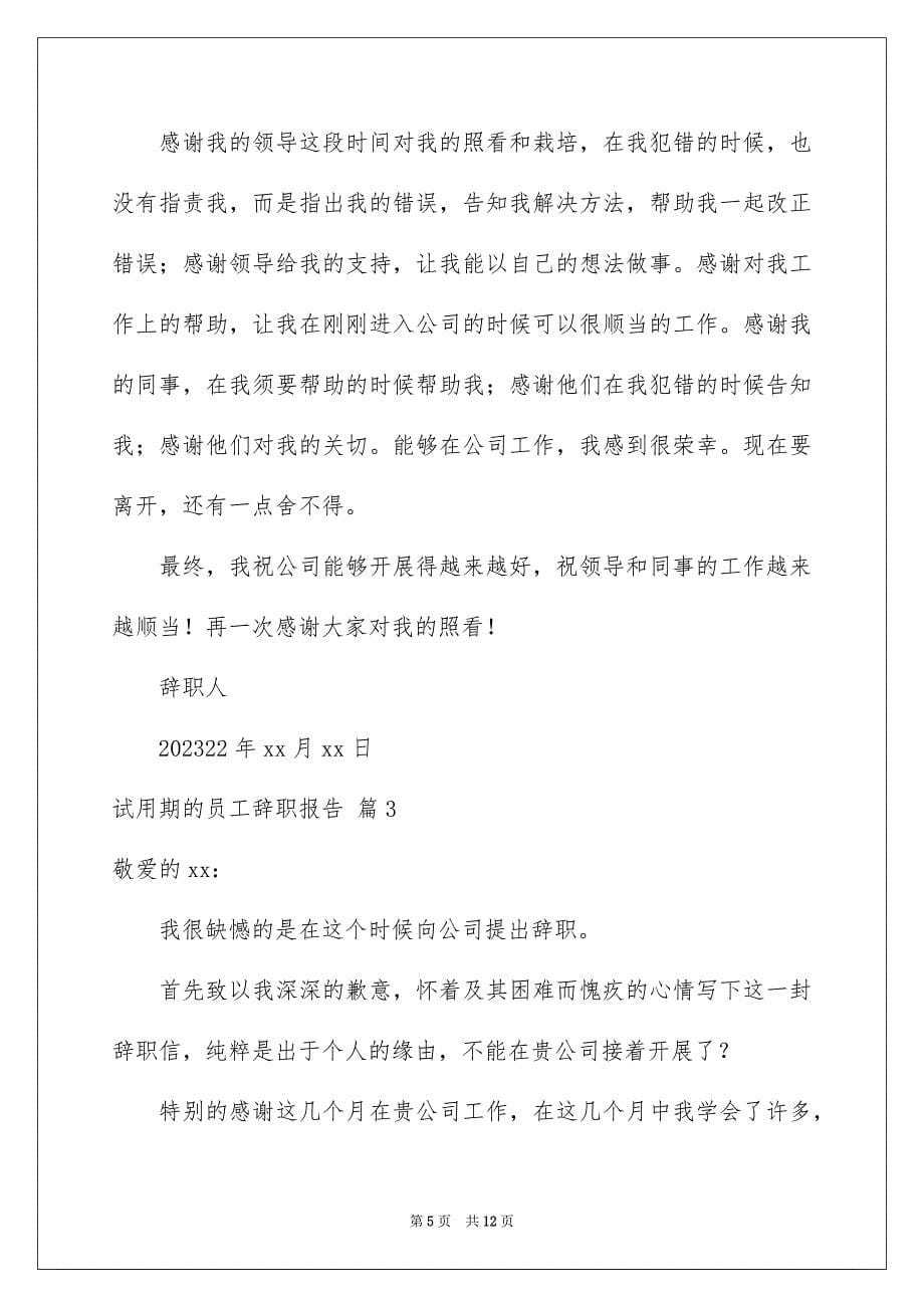 2023年试用期的员工辞职报告11范文.docx_第5页