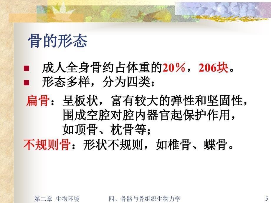 医用材料生物学基础－蔡伟第二章医用植入材料生物环境——四人体骨骼系统与骨组织生物力学五免疫系统与免疫细胞_第5页