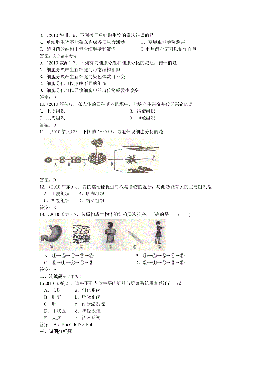 动物体的结构层次练习题_第2页