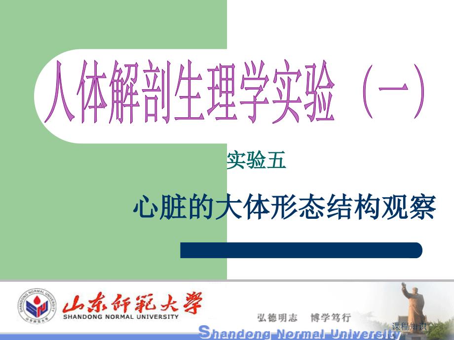 实验5心脏大体形态结构观察【特制材料】_第1页