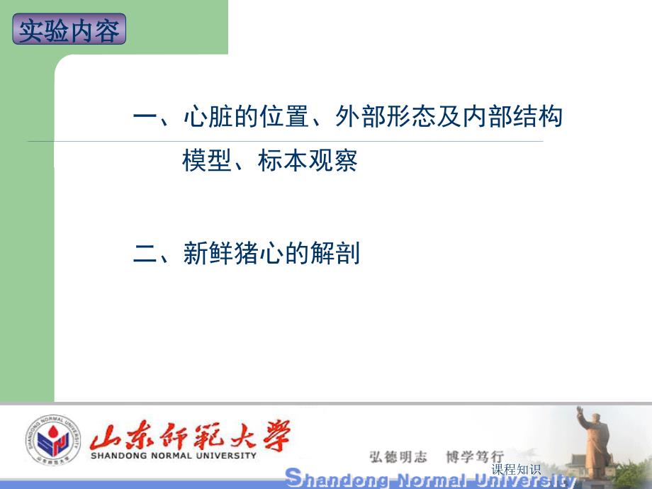 实验5心脏大体形态结构观察【特制材料】_第2页