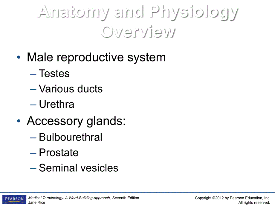 MedicalTerminologyAWordBuildingApproach7thEditionricech18_第4页