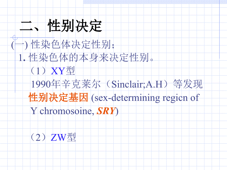 分子遗传学3性别决定与性相关遗传A_第3页