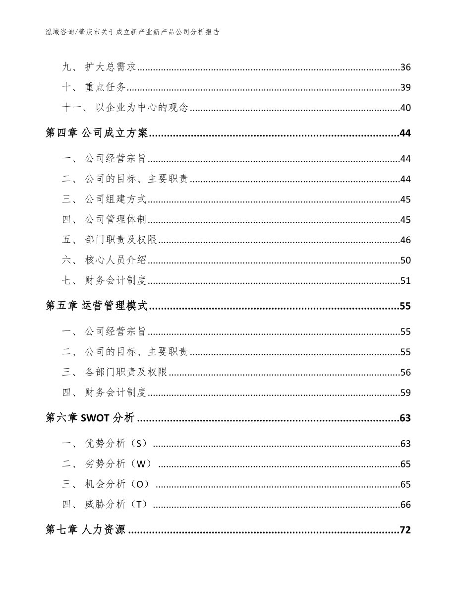 肇庆市关于成立新产业新产品公司分析报告【模板参考】_第3页