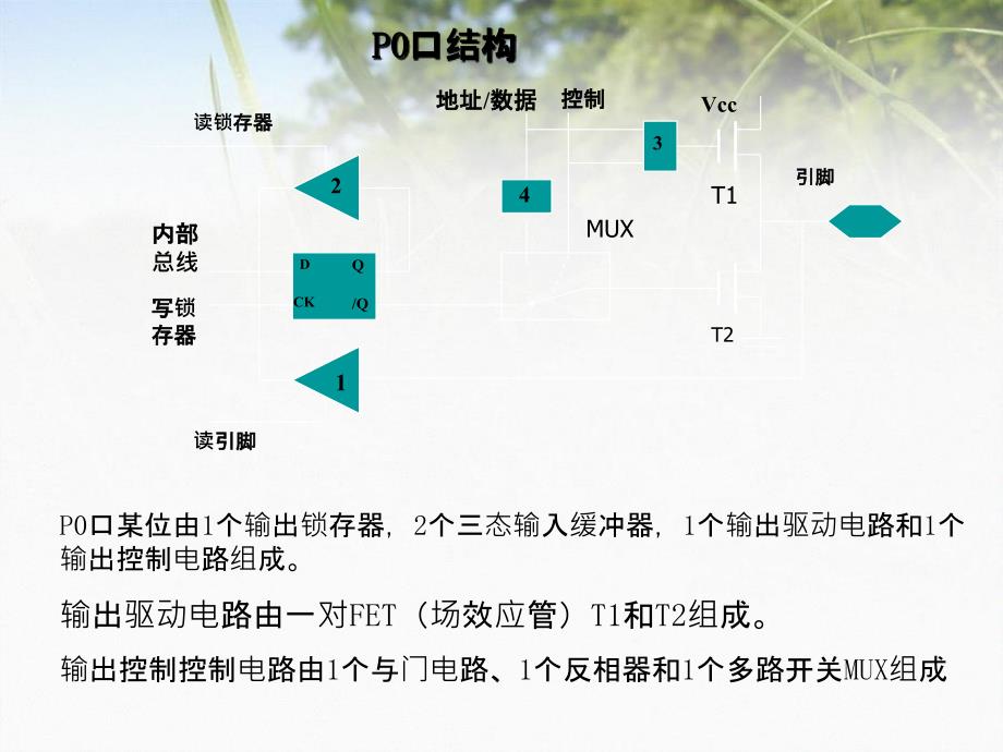 计算机软件及应用第二章端口_第3页