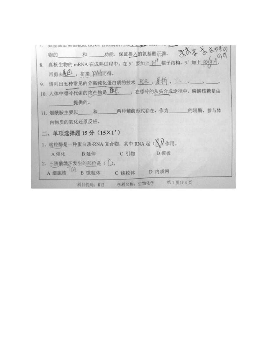 南京工业大学《812生物化学一》历年考研真题汇编（含部分答案）_第5页
