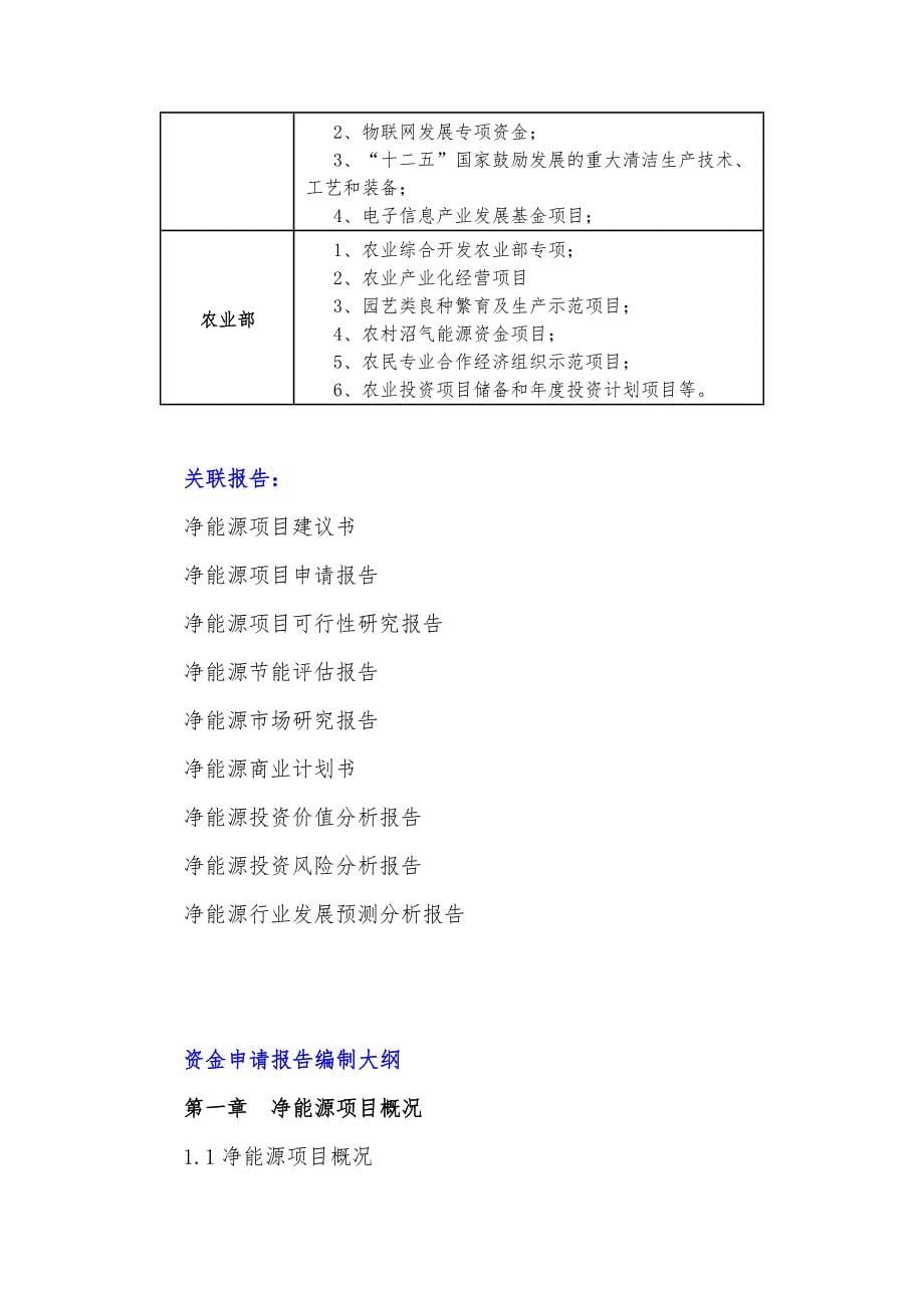 十三五重点项目净能源项目资金申请报告_第5页