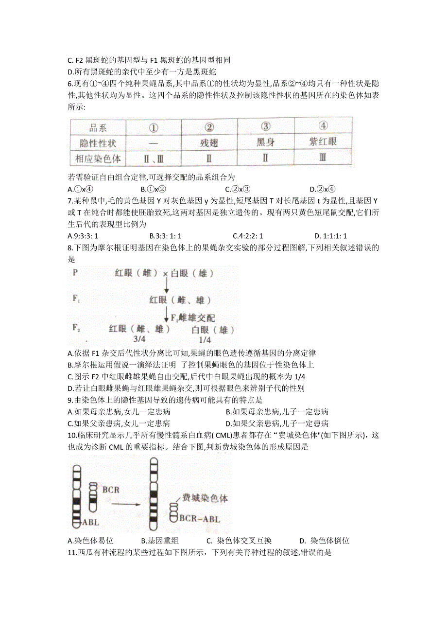 陕西省渭南市富平县2020-2021学年高一下学期期末考试生物试题（word版无答案).docx_第2页