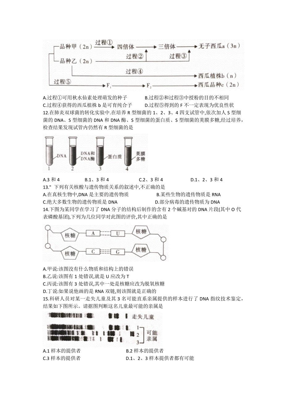 陕西省渭南市富平县2020-2021学年高一下学期期末考试生物试题（word版无答案).docx_第3页