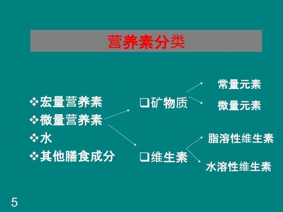 学前儿童膳食营养卫生_第5页