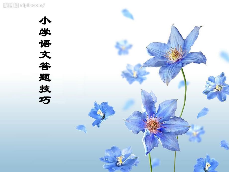 小学语文考试答题技巧课件_第1页