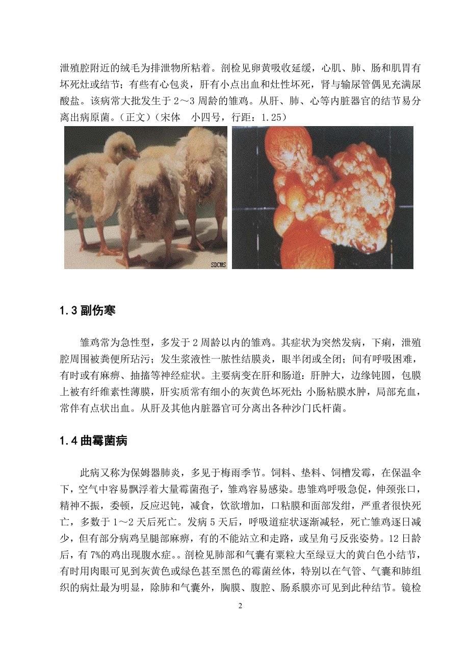 肉种父母代鸡育雏期主要疾病及其防控措施_第5页