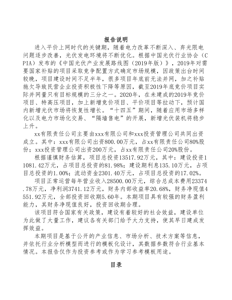 武汉关于成立晶硅处理设备公司可行性研究报告(DOC 80页)_第2页