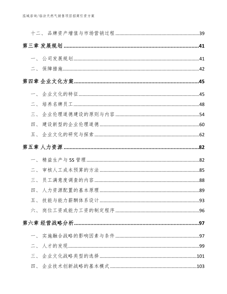 临汾天然气销售项目招商引资方案_第2页