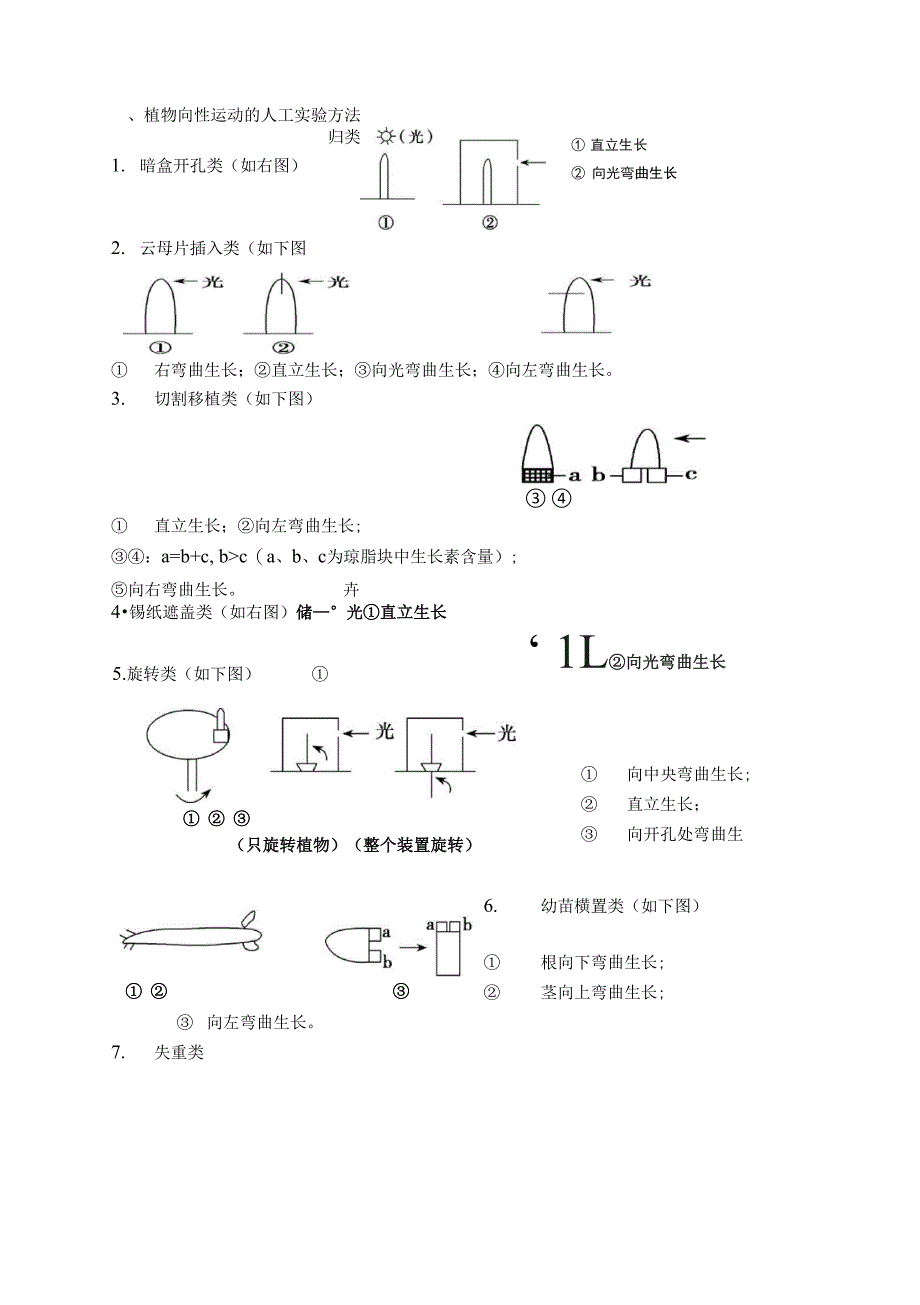 生长素的偏转_第1页