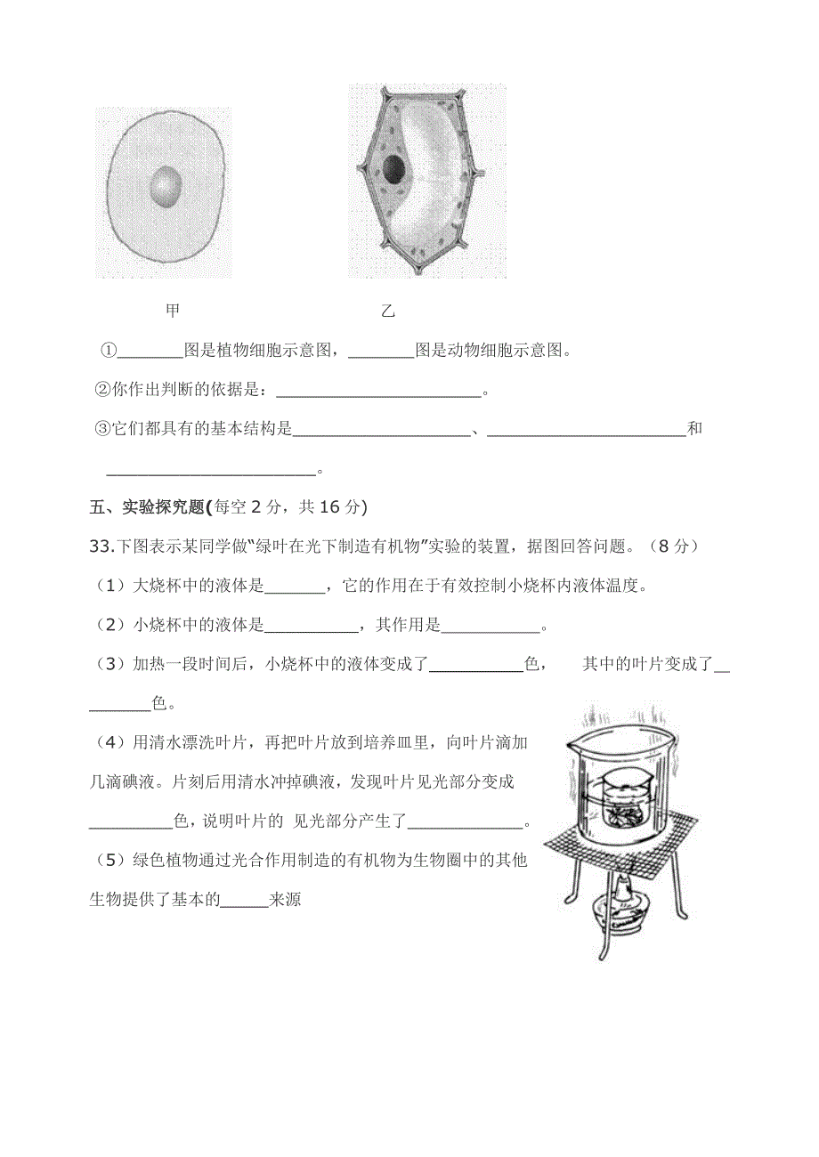 初中生物中考模拟试题.doc_第4页