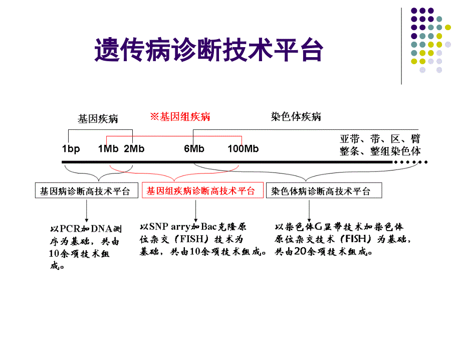 《排单基因病》PPT课件_第2页