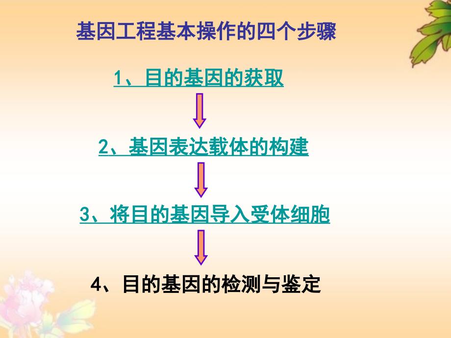 新课标人教版高中生物选修三专题一基因工程的基本操作程序精品课件_第2页