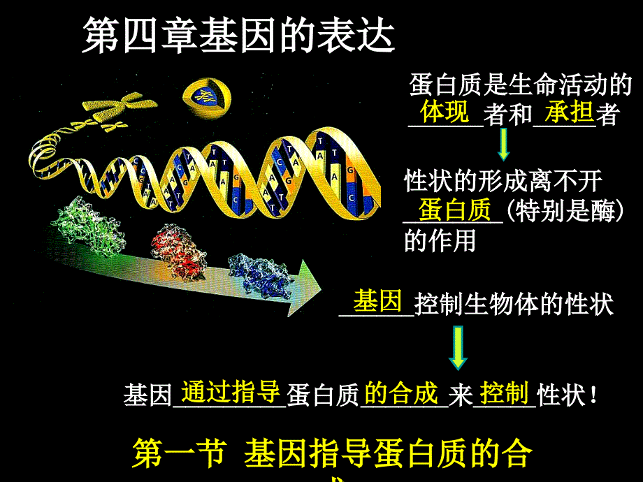 基因的表达的复习_第1页