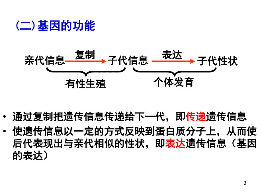 基因的表达的复习_第3页