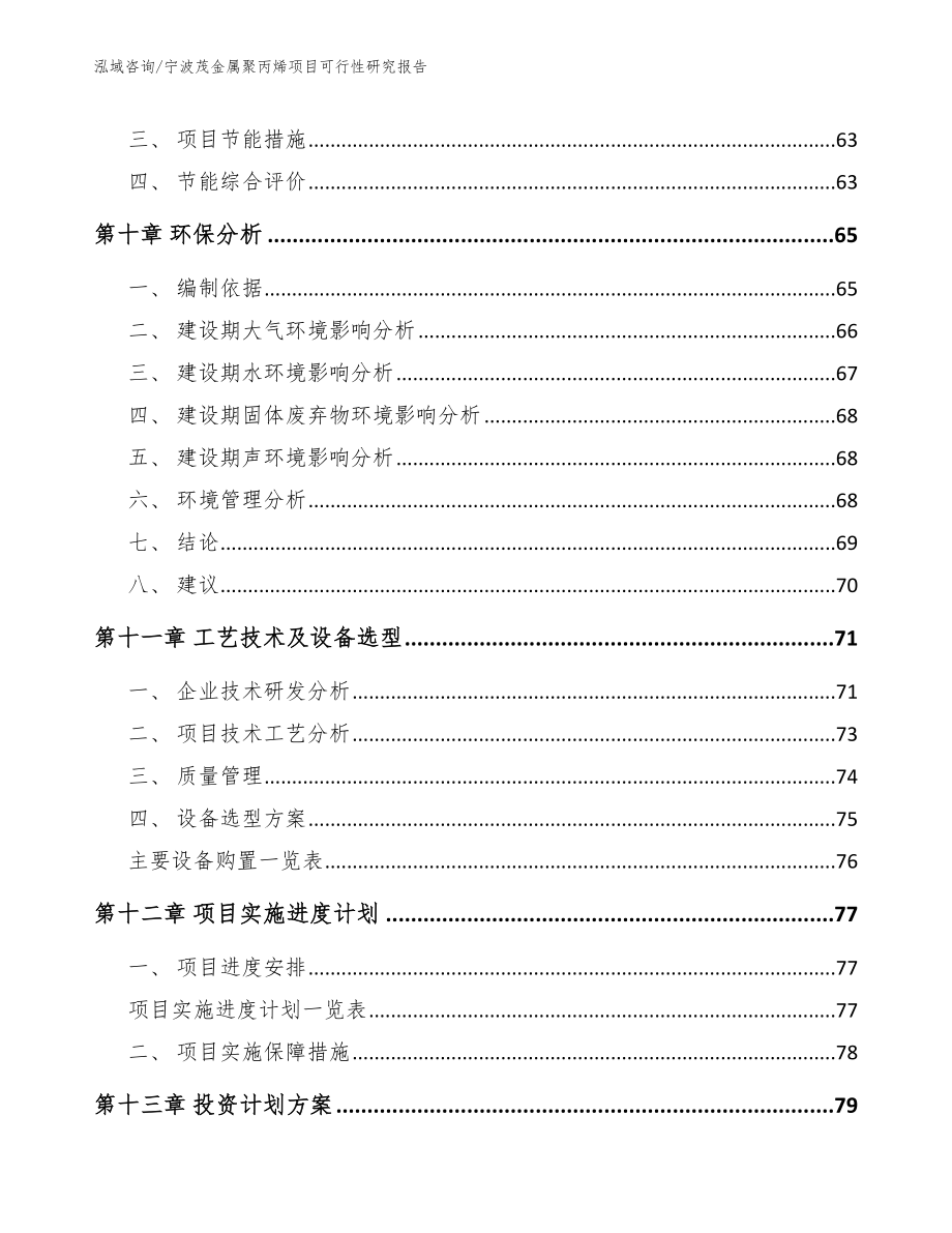 宁波茂金属聚丙烯项目可行性研究报告（范文模板）_第3页