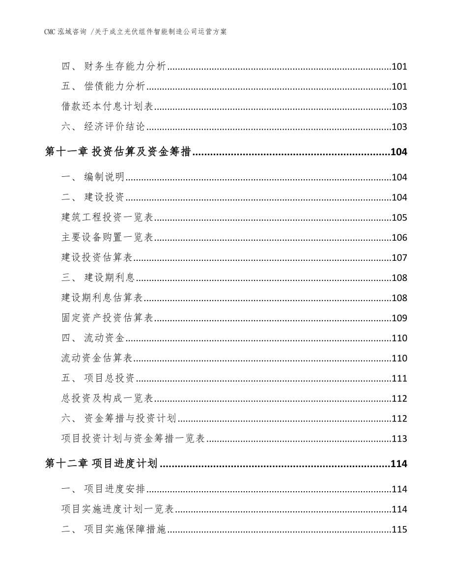 关于成立光伏组件智能制造公司运营方案-（参考范文）_第5页