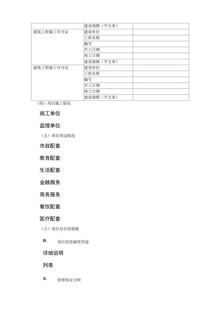 项目融资方案(示例)_第3页