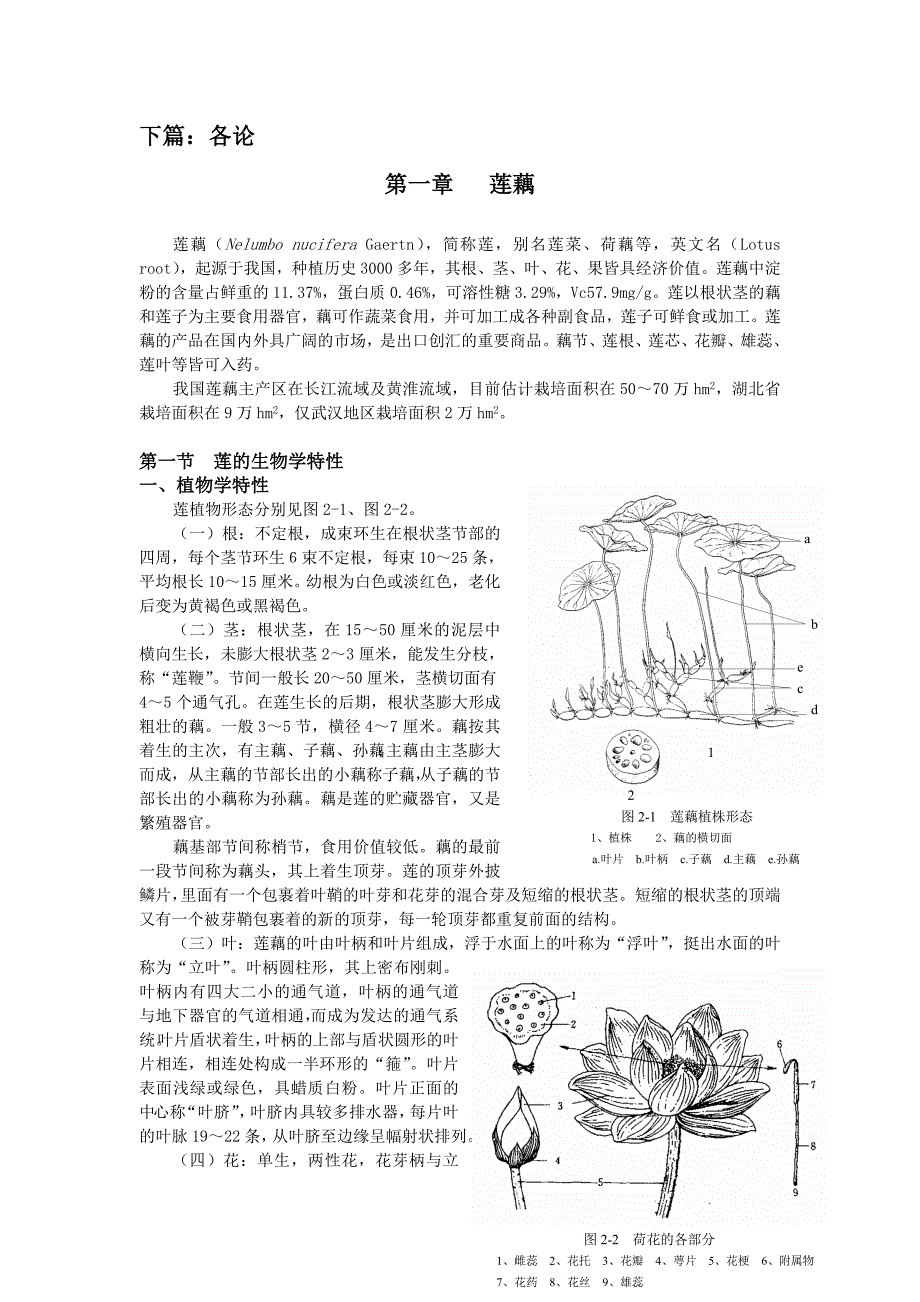 莲藕籽莲种植技术.doc_第1页