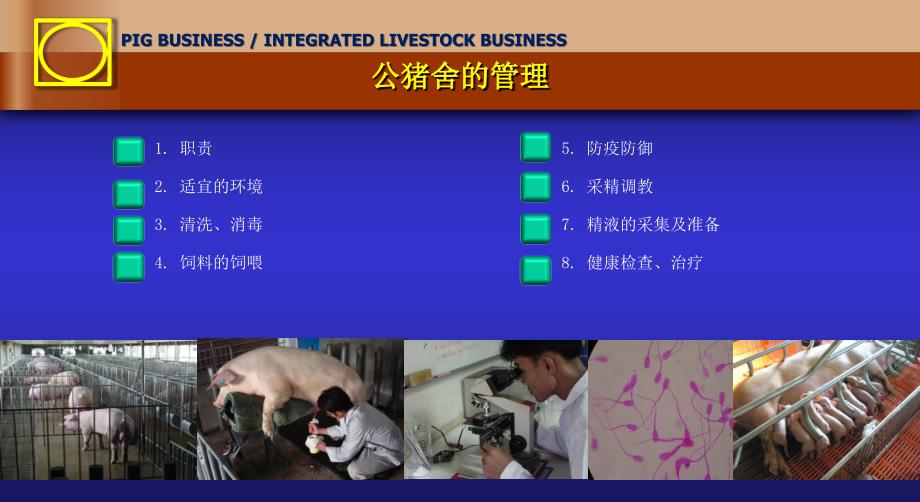 正大养殖公司的养猪技术04P对PT课件_第1页