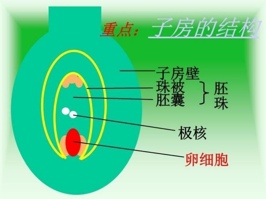 八年级生物第一节植物的生殖课件新课标人教版资料讲解_第5页