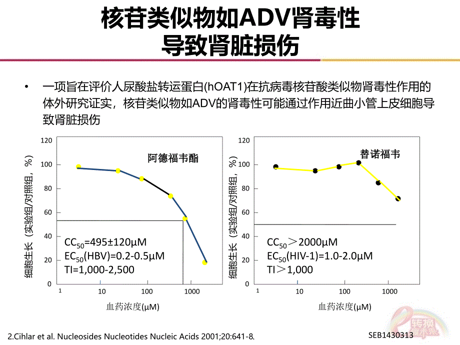 替比夫定对慢乙肝患者肾功能的影响_第4页