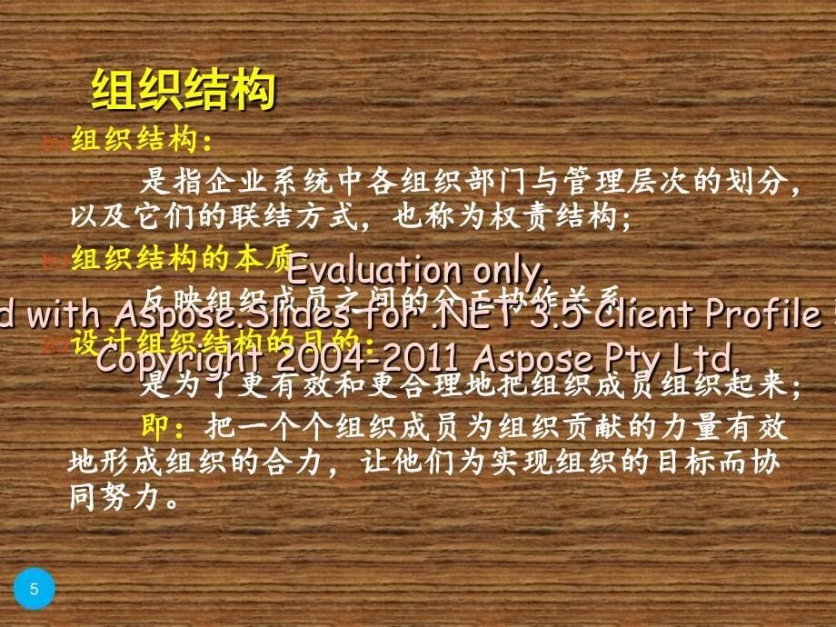 组织设计与运行本基原理.ppt_第5页