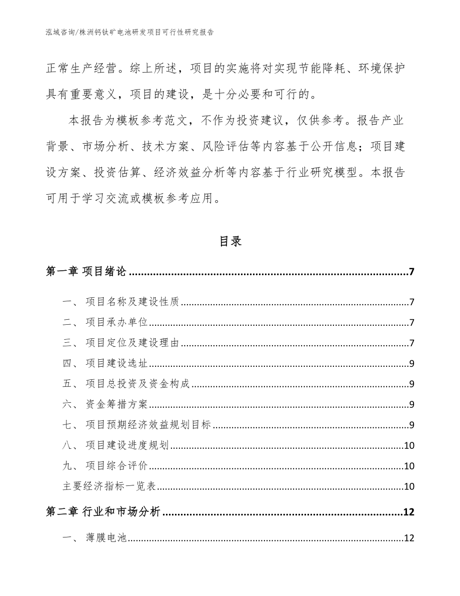 株洲钙钛矿电池研发项目可行性研究报告_第2页