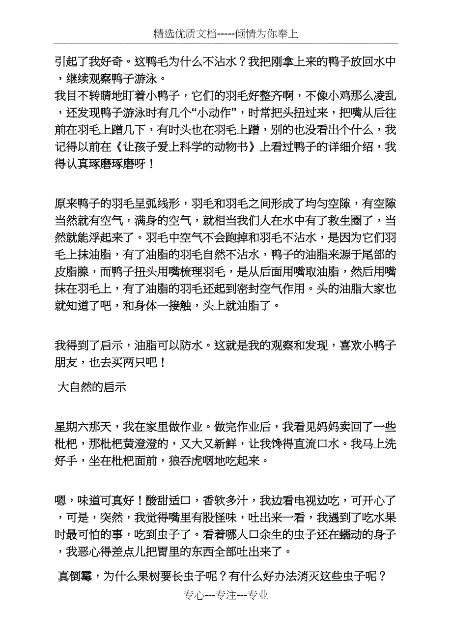 大自然作文之大自然的启示作文_第2页