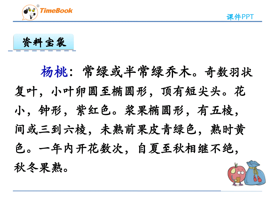 《画杨桃》课件 (2)_第4页