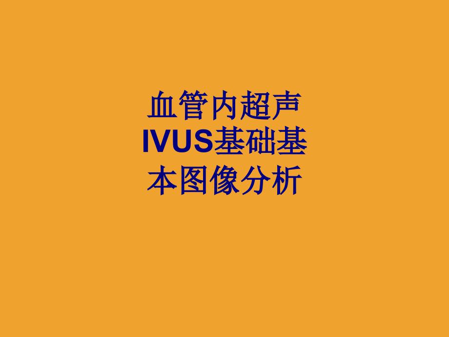 血管内超声IVUS基础基本图像分析培训ppt课件_第1页