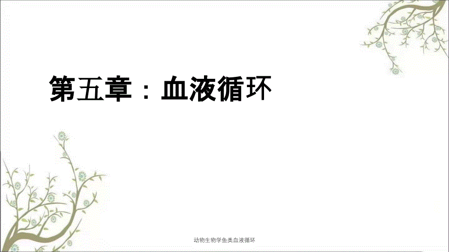 动物生物学鱼类血液循环课件_第1页